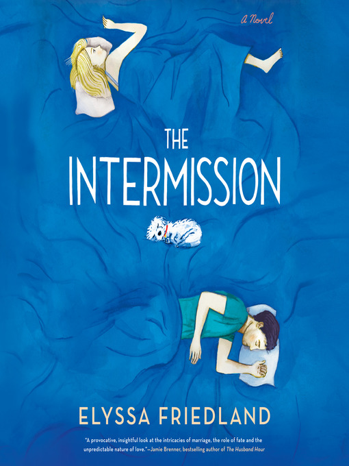 Title details for The Intermission by Elyssa Friedland - Available